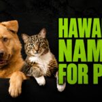 Hawaiian Names for Pets: 150+ Meaningful Ideas for Dogs & Cats