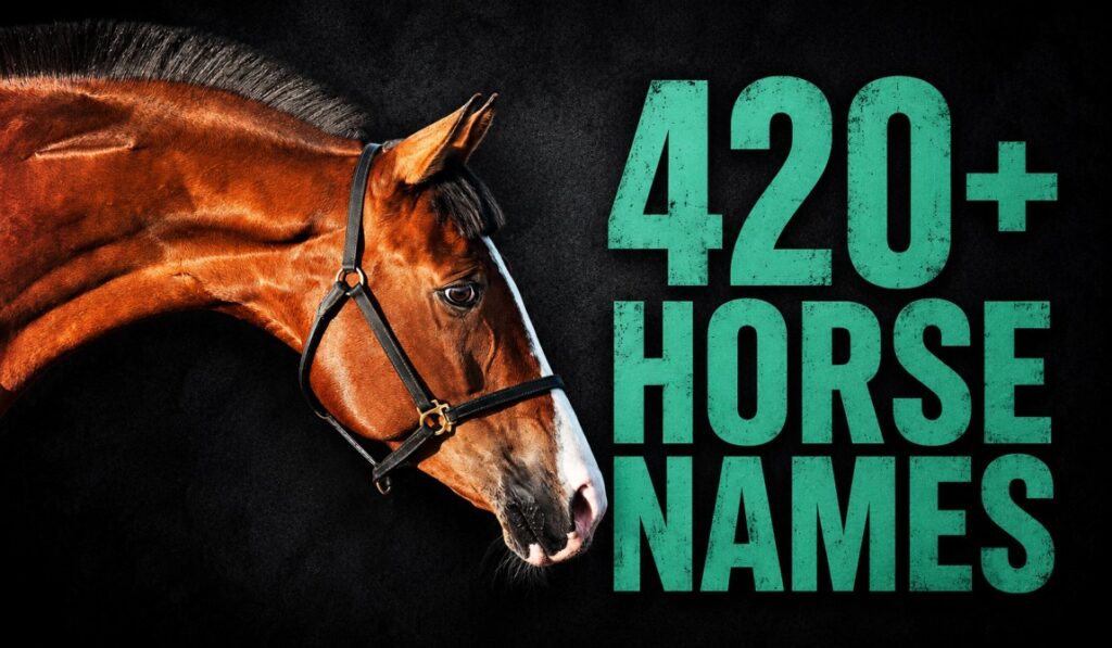 420+ Horse Names for Every Personality & Coat Color (2026 Guide)