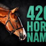 420+ Horse Names for Every Personality & Coat Color (2026 Guide)