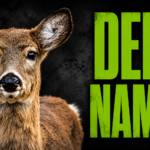 Deer Names: 400+ Cute, Funny, Unique, and Nature-Inspired Ideas for Every Deer