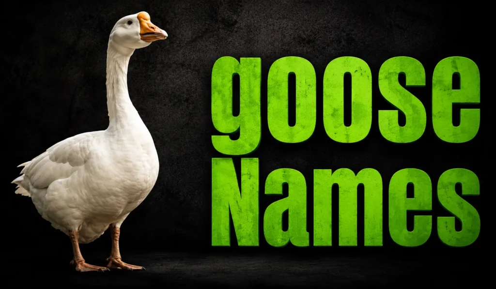 Goose Names: 300+ Cute, Funny, Unique, and Meaningful Ideas