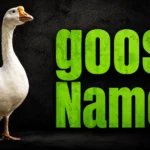 Goose Names: 300+ Cute, Funny, Unique, and Meaningful Ideas