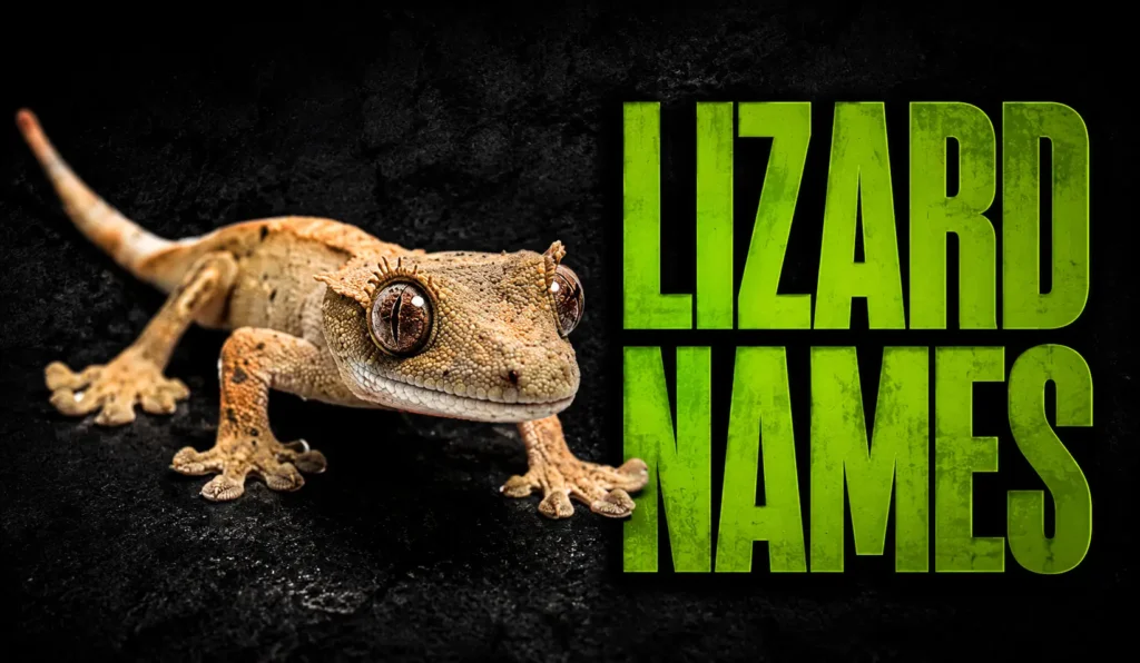 860+ Best Lizard Names: Cute, Funny, Cool, Male & Female Ideas 