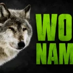 851+ Best Wolf Names: Male, Female, Mythical, Cute, Funny & Unique Ideas