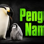 800+ Penguin Names: Cute, Funny, Famous, Cool, and Unique Ideas