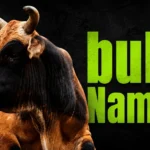 720+ Best Bull Names: Strong, Funny, Cool, Famous & Unique Ideas