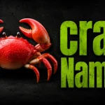 250+ Crab Names: Funny, Cute, Famous & Creative Ideas