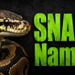 Snake Names: 500+ Cute, Funny, Cool, Mythical, and Unique Ideas for Your Pet Snake