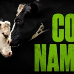350+ Cow Names: Cute, Funny, Famous, and Unique Ideas for Every Cow