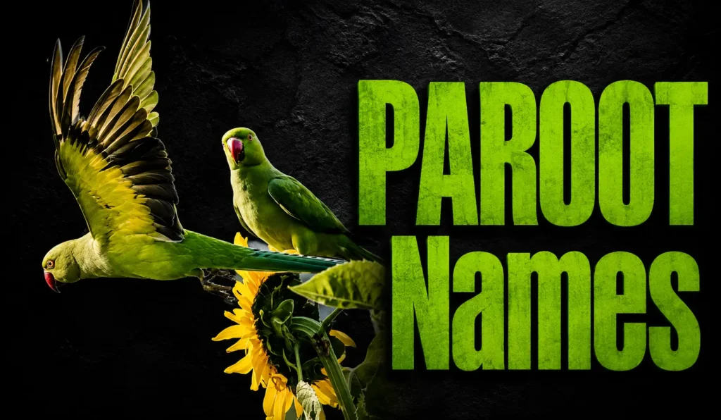 500+ Cute Parrot Names for Male, Female & Pet Birds