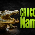 500+ Unique Crocodile Names for Male, Female & Baby Crocs