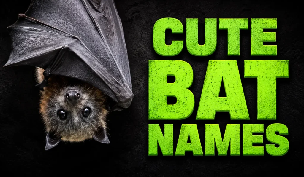300+ Cute Bat Names for Sweet, Funny, and Mysterious Characters
