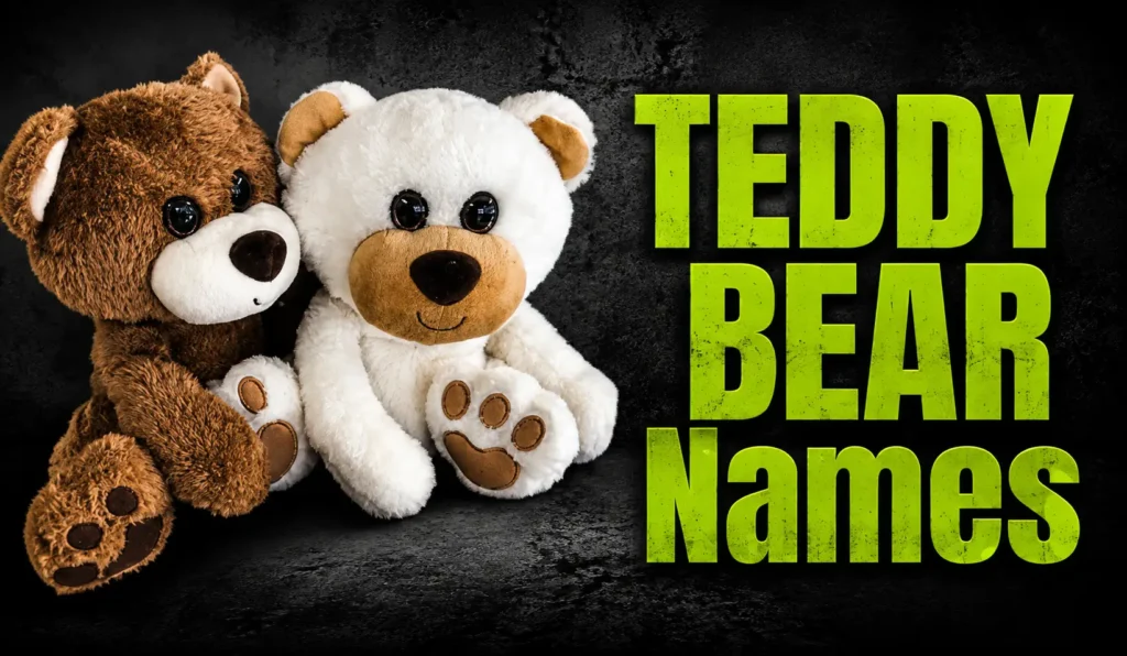 500+ Teddy Bear Names for Cute & Cuddly Friends