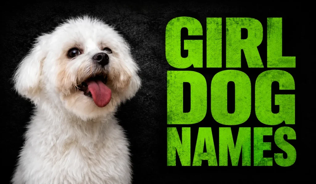 500+ Girl Dog Names: Cute, Unique, Popular & Meaningful Ideas