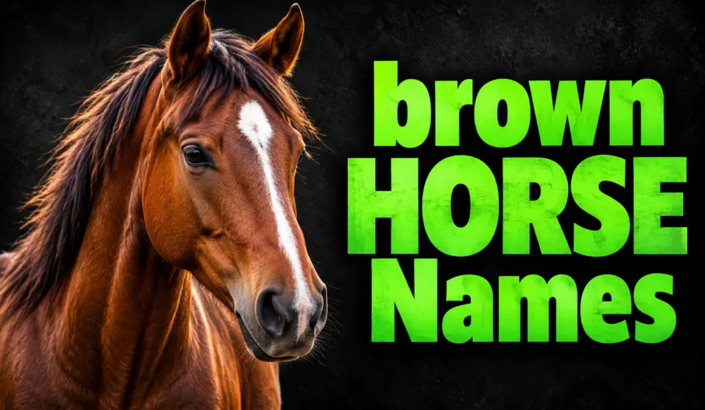 500+ Brown Horse Names: Cute, Cool & Unique Ideas