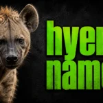 Hyena Names: 450+ Unique, Funny, Cute & Powerful Ideas