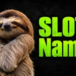 Sloth Names: 350+ Cute, Funny, Cool & Unique Ideas