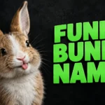 500+ Funny Bunny Names: Cute, Silly & Punny Ideas 