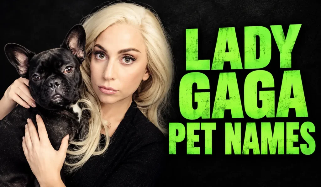 Lady Gaga Pet Names: Meet Asia, Koji, Gustav, and More