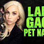 Lady Gaga Pet Names: Meet Asia, Koji, Gustav, and More