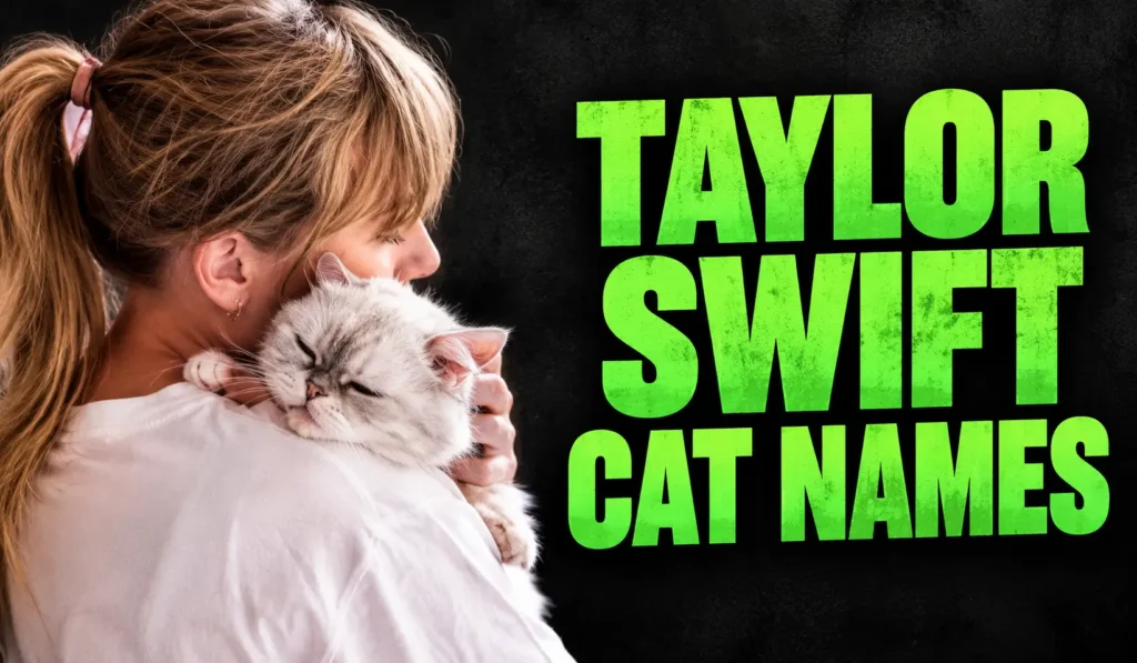Taylor Swift Cat Names: Meet Her 3 Famous Cats