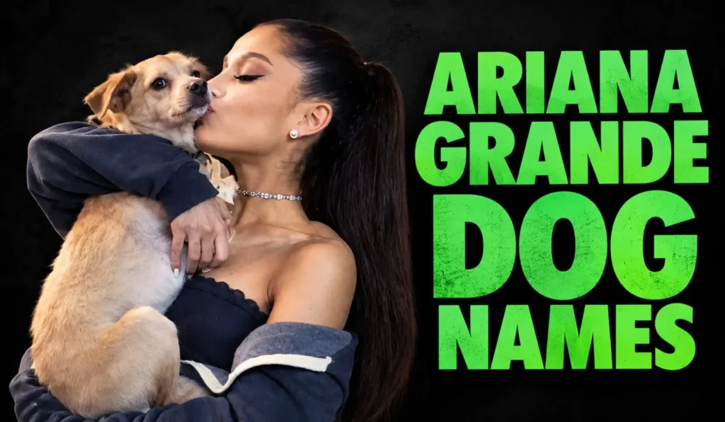 Ariana Grande Dog Names: Meet Her Famous Rescue Dogs