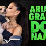 Ariana Grande Dog Names: Meet Her Famous Rescue Dogs